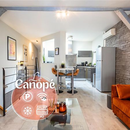 Le Canope - T3 Duplex, 2 Salles D'Eau, Hypercentre 카스트르 외부 사진