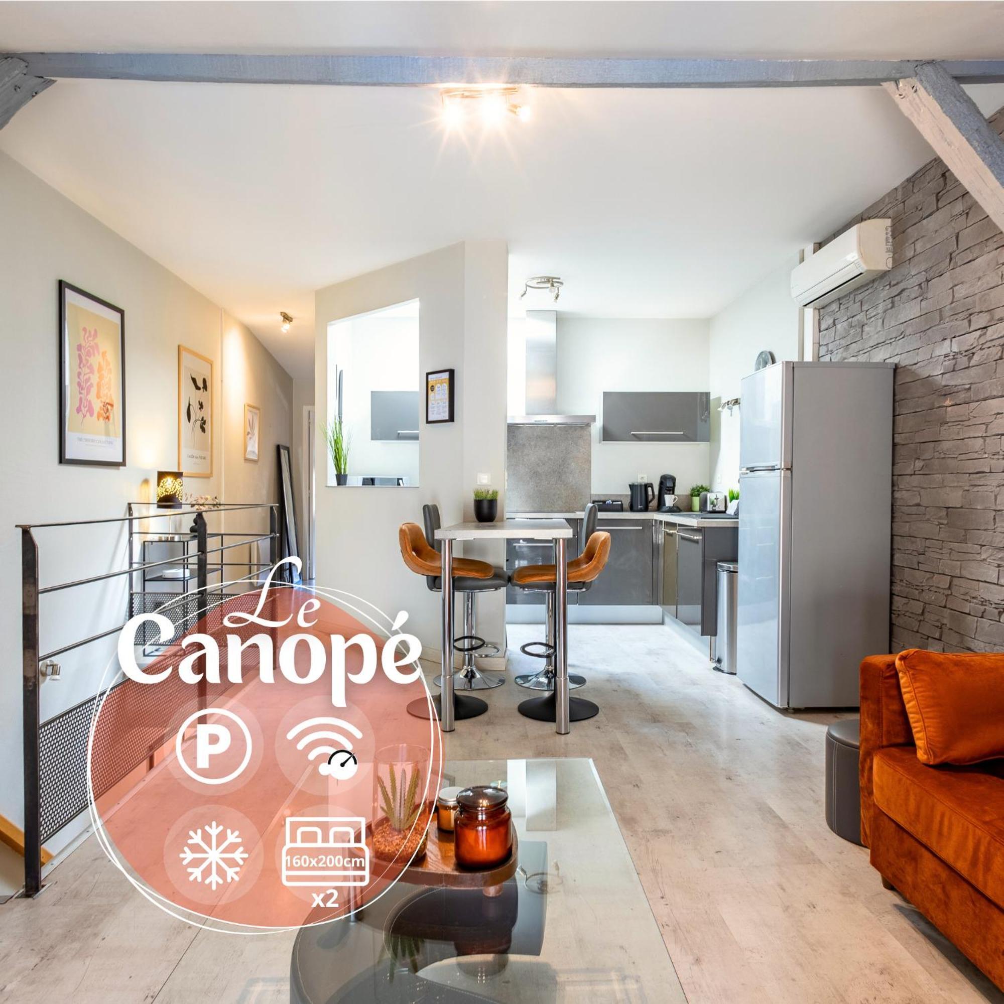 Le Canope - T3 Duplex, 2 Salles D'Eau, Hypercentre 카스트르 외부 사진